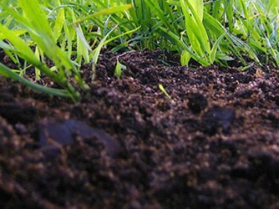 /chernozem-kupit.aspx