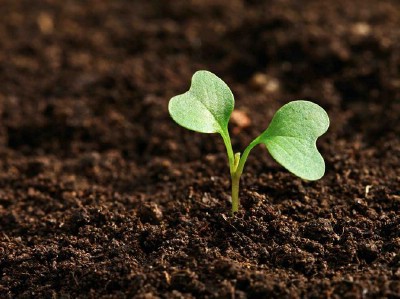 /plodorodnyj-grunt-kupit.aspx