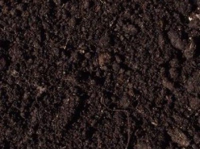 /nizinnyj-torf-kupit.aspx