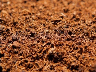 /verhovoj-torf-kupit.aspx